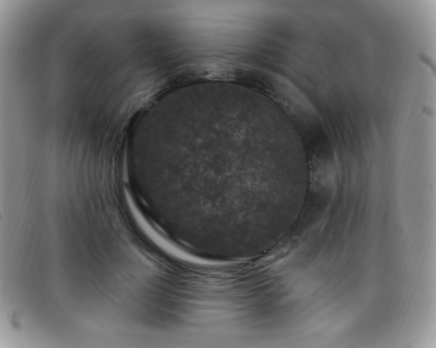 X0000095960748200801111402