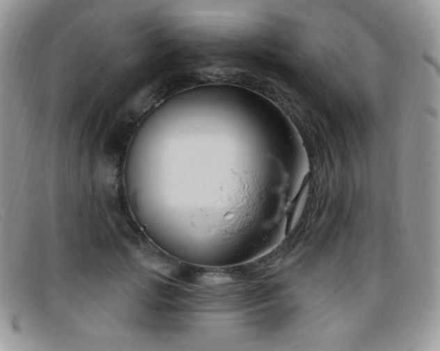 X0000095960749200801111402