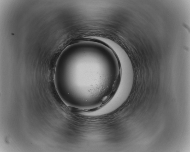 X0000095960750200801111402