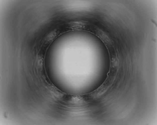 X0000095960753200801111402