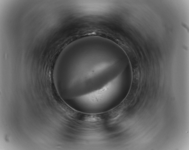 X0000095960754200801111402