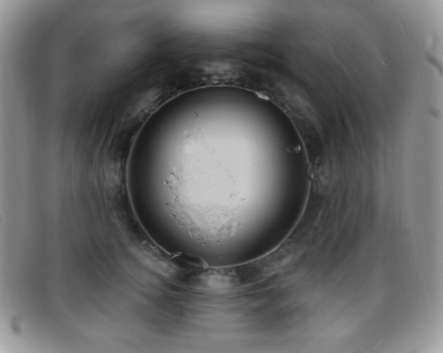 X0000095960756200801111402