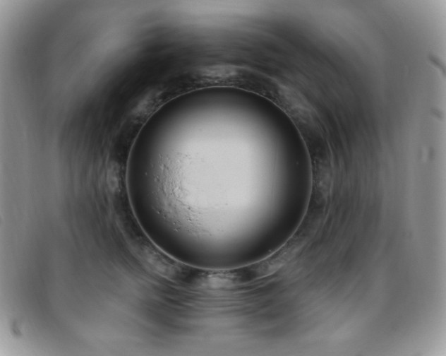 X0000095960758200801111402