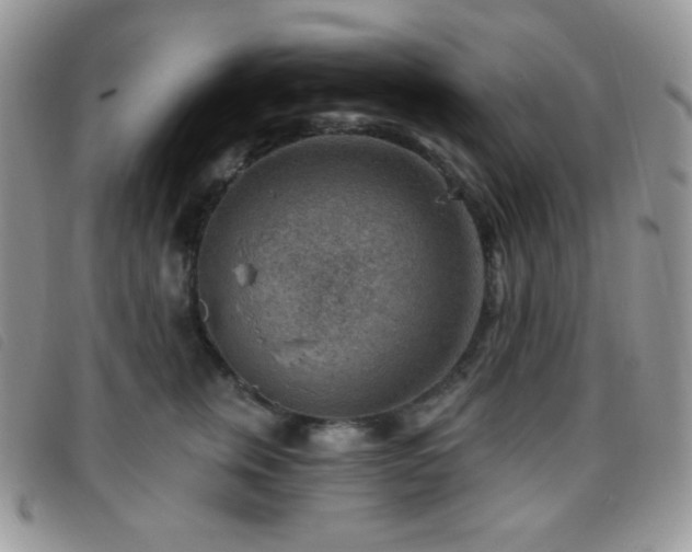 X0000095960759200801111402