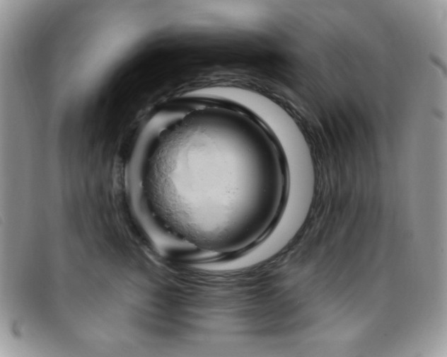 X0000095960760200801111402