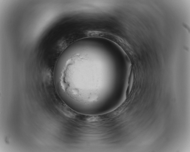 X0000095960761200801111402