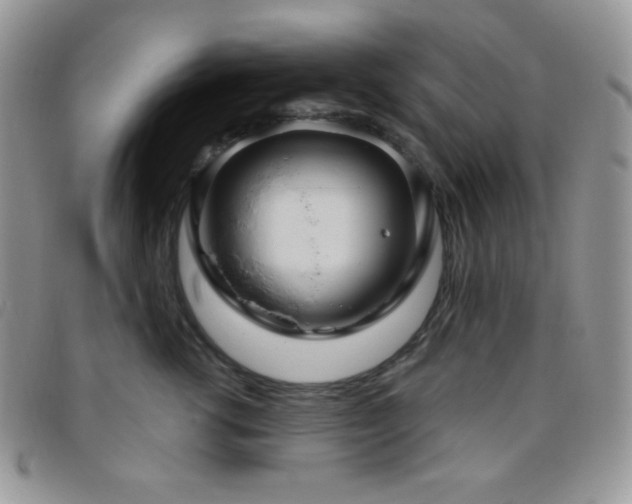 X0000095960762200801111402