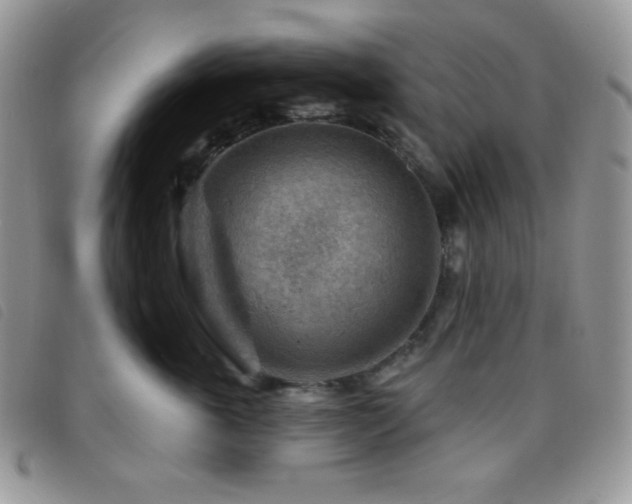 X0000095960763200801111402
