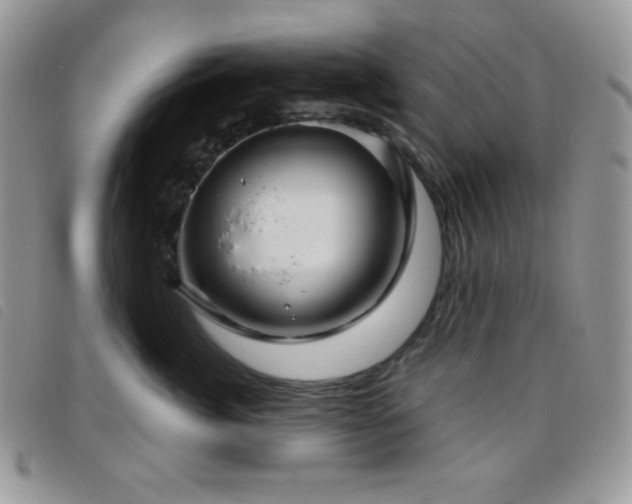 X0000095960764200801111402