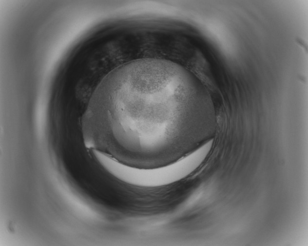 X0000095960765200801111402