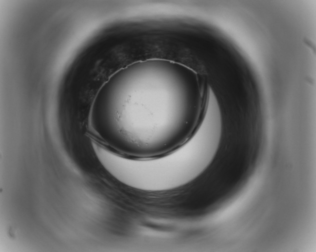X0000095960766200801111402