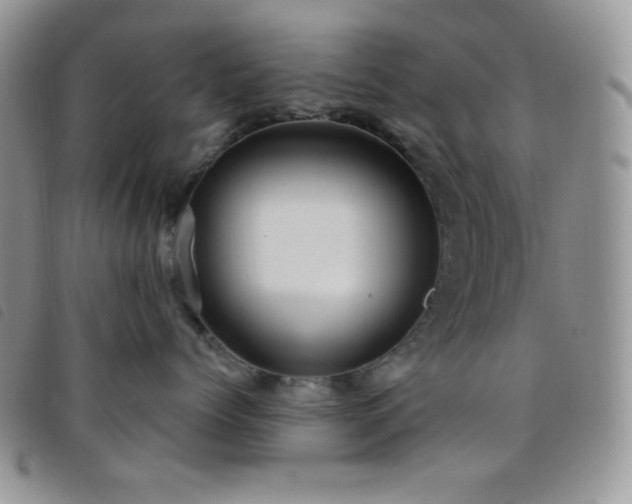 X0000095960768200801111402