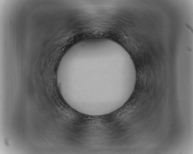 X0000095960769200801111401
