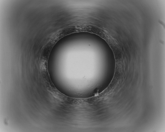 X0000095960770200801111401
