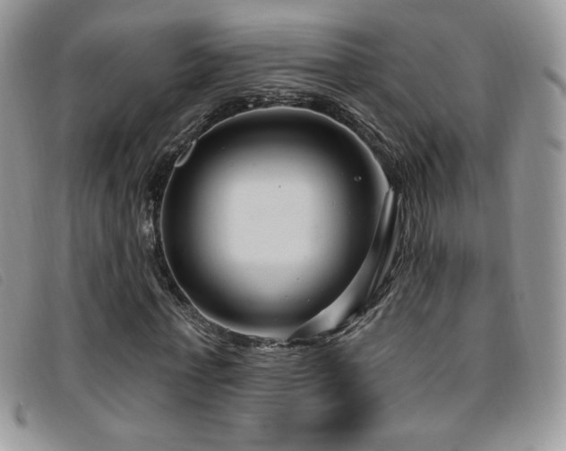 X0000095960771200801111401