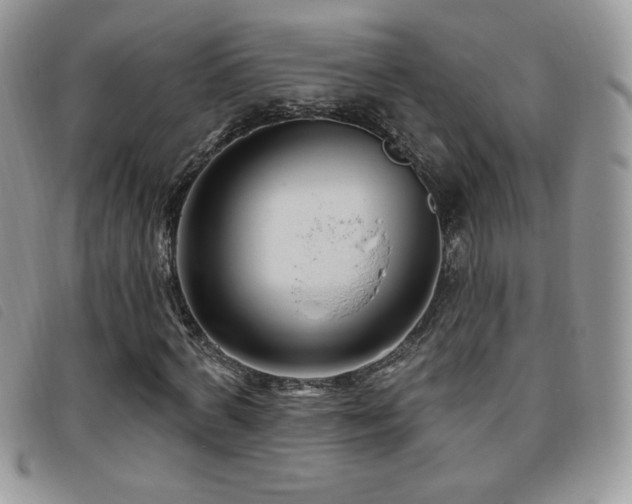 X0000095960772200801111401