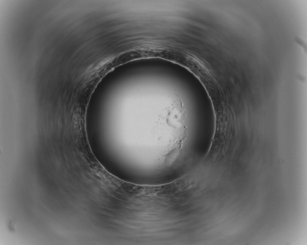 X0000095960773200801111401