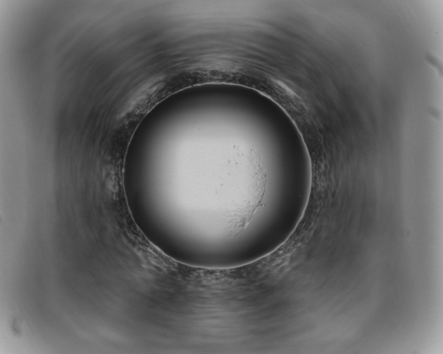 X0000095960774200801111401