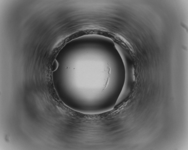 X0000095960775200801111401