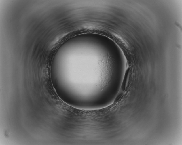X0000095960776200801111401