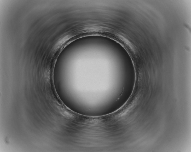 X0000095960778200801111401