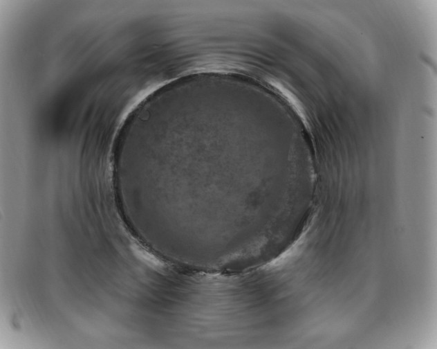 X0000095960779200801111401