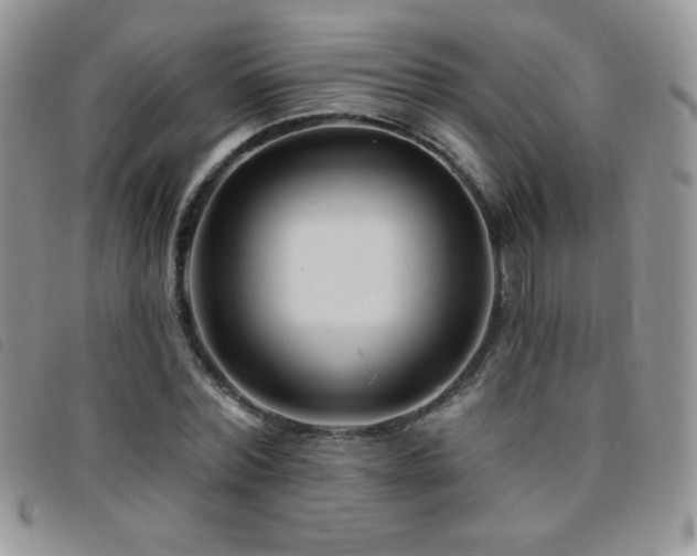 X0000095960780200801111401
