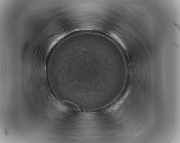X0000095960781200801111401