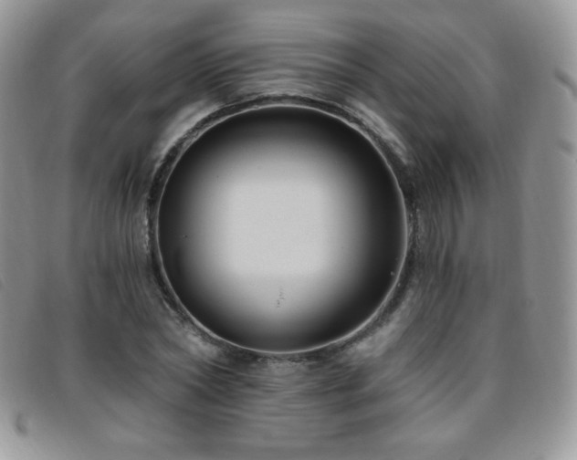 X0000095960782200801111401