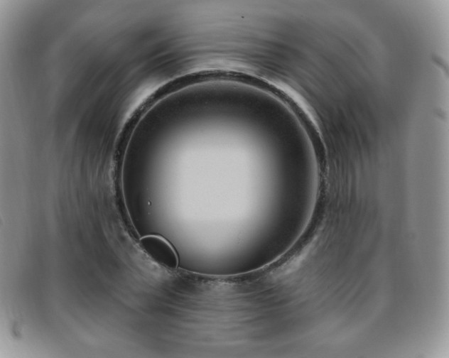 X0000095960783200801111401