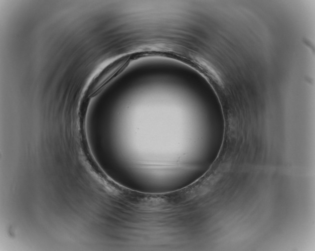 X0000095960784200801111401