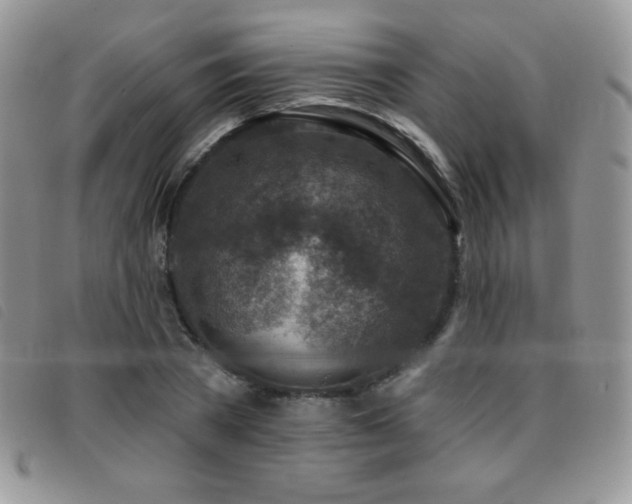 X0000095960785200801111401