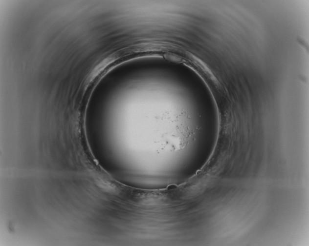 X0000095960786200801111401
