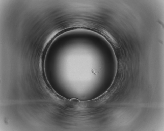 X0000095960788200801111401
