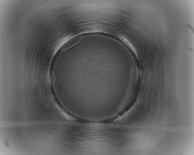 X0000095960789200801111401