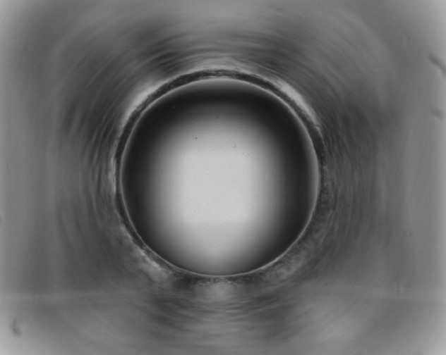 X0000095960791200801111401