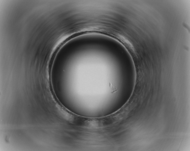 X0000095960792200801111401