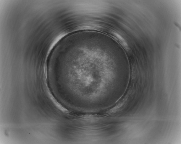 X0000095960796200801111401