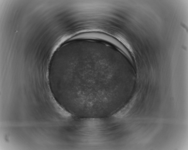 X0000095960797200801111401