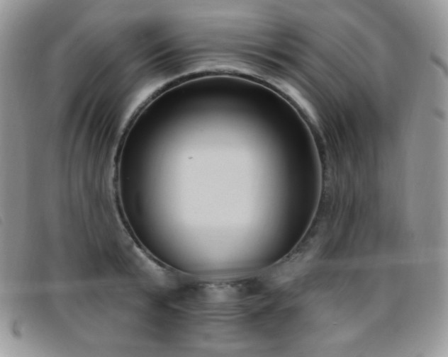 X0000095960799200801111401