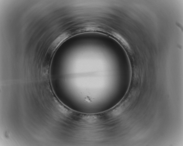 X0000095960801200801111401