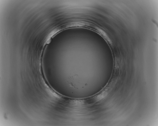 X0000095960802200801111401
