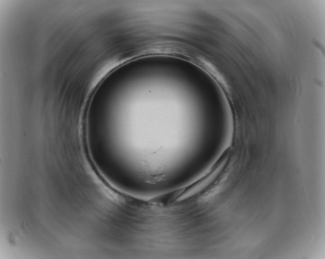 X0000095960803200801111401