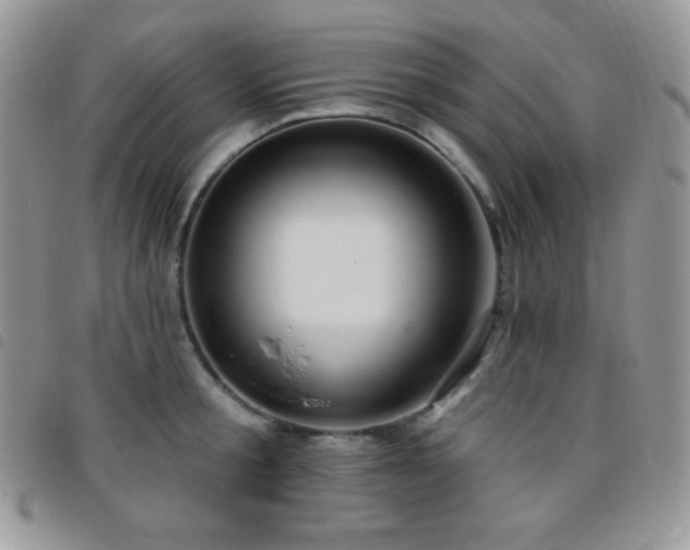 X0000095960805200801111401