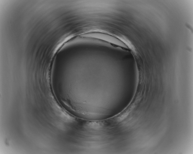 X0000095960806200801111401