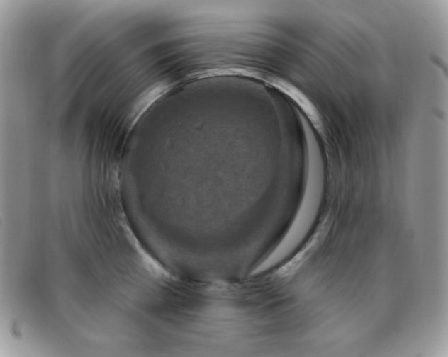 X0000095960809200801111401