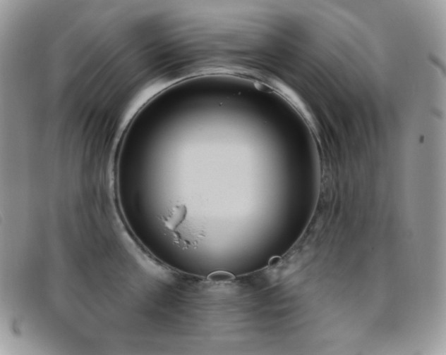 X0000095960811200801111401