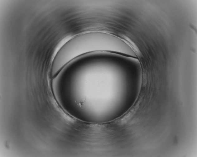 X0000095960812200801111401