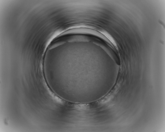 X0000095960813200801111401