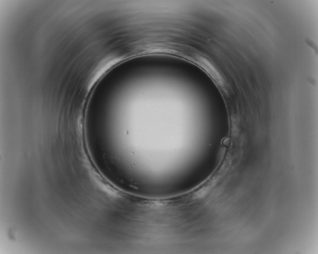 X0000095960814200801111401
